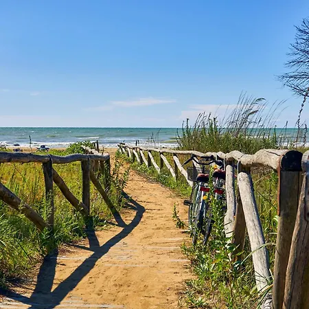 In 45657 Bibione