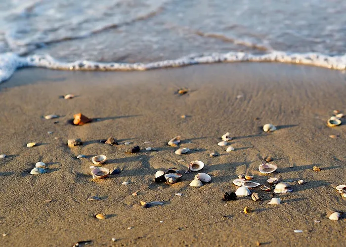 In 45657 Apartment Bibione